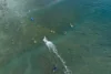 35 King Street, Shelly Beach, Qld 4551-Image
