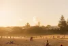 35 King Street, Shelly Beach, Qld 4551-Image