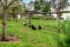 35 Kinnear Road, Mickleham, Vic 3064-Image