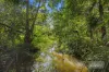 35 Lake MacDonald Drive, Cooroy, Qld 4563-Image