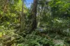 35 Lake MacDonald Drive, Cooroy, Qld 4563-Image
