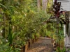 35 Martins Creek Road, Buderim, Qld 4556-Image