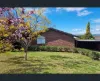 35 Mengarvie Road, Parkes NSW 2870-Image