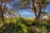 35 Mud Alley, Foul Bay, SA 5577-Image