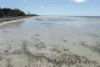 35 Mud Alley, Foul Bay, SA 5577-Image