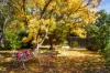 35  Neates Road, Campbells Creek, Vic 3451-Image