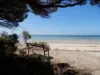 35 Ocean View Drive, Nepean Bay, SA 5223