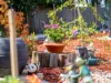 35 Ogden Street, Acton, Tas 7320-Image