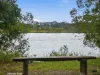 35 Panorama Parade, Urunga, NSW 2455-Image