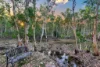 35 Parakeet Place, Howard Springs, NT 0835-Image