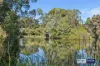 35 Peel Street, Jolimont, WA 6014-Image