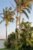 35 Petrie Avenue, Marcoola, Qld 4564-Image