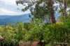 35 Riverside Drive, Warburton, Vic 3799-Image