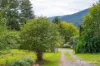 35 Riverside Drive, Warburton, Vic 3799-Image