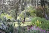 35 Roper Road, Willyaroo, SA 5255-Image