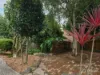 35 Smallburn Avenue, Newborough, Vic 3825-Image