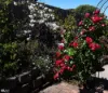 35 Stirling Avenue, Blackmans Bay, Tas 7052-Image