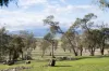 35 Summit Drive, Devon Hills, Tas 7300