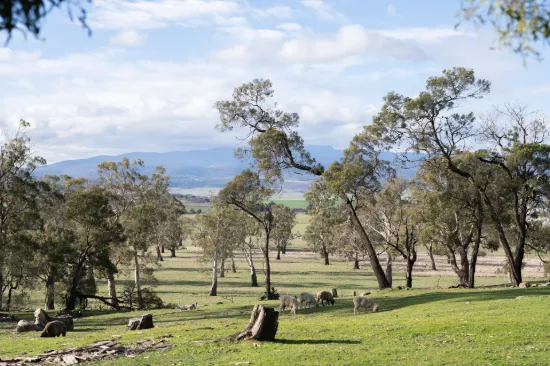 35 Summit Drive, Devon Hills, Tas 7300
