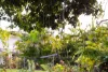 35 Survey Street, Smithfield, Qld 4878-Image