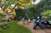 35 The Drive, Concord West, NSW 2138-Image