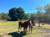35 Toolakea Beach Road, Bluewater, Qld 4818-Image