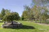 35 Trentham Road, Tylden, Vic 3444-Image
