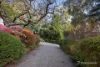35 Tulloch Street, Millgrove, Vic 3799-Image
