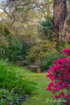 35 Tulloch Street, Millgrove, Vic 3799-Image