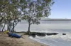 35 Urunga Parade, Boreen Point, Qld 4565-Image