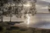 35 Urunga Parade, Boreen Point, Qld 4565-Image