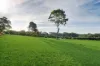 35 Vicary Lane, Orangeville, NSW 2570-Image