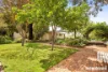 35 Walden Street, Tanunda, SA 5352-Image