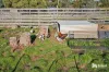 35 Watsons Road, Northdown, Tas 7307-Image