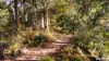 35 Watsons Road, Northdown, Tas 7307-Image
