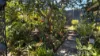 35 Wensley Avenue, Yungaburra, Qld 4884-Image