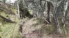 350 Beetaloo Valley Road, Beetaloo Valley, SA 5523-Image