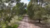 350 Beetaloo Valley Road, Beetaloo Valley, SA 5523-Image