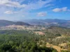 350 Black Hills Road, Black Hills, Tas 7140-Image