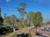 350 Black Hills Road, Black Hills, Tas 7140-Image