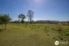 350 Saleyards Road, Collombatti, NSW 2440-Image