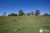 350 Saleyards Road, Collombatti, NSW 2440-Image