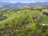 350 Tabletop Road, Bridge Creek VIC 3723-Image