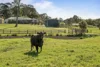 351 Jilliby Road, Jilliby, NSW 2259-Image