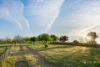 351 Marked Tree Road, Gundaroo, NSW 2620-Image