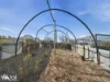 351 Saltwater River Road, Premaydena, Tas 7185-Image
