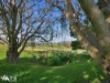 351 Saltwater River Road, Premaydena, Tas 7185-Image
