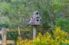 3519 Whittlesea Yea Road, Flowerdale, Vic 3717-Image