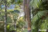 352 George Bass Drive, Lilli Pilli, NSW 2536-Image