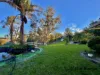 353 Stabiles Road, Glen Aplin, Qld 4381-Image